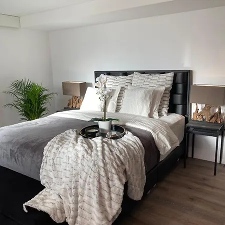 Private Spa Lux With Whirlpool And Sauna In Zurich-3